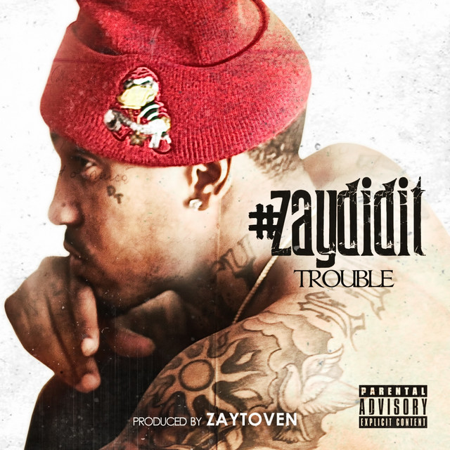 #ZayDidIt album cover