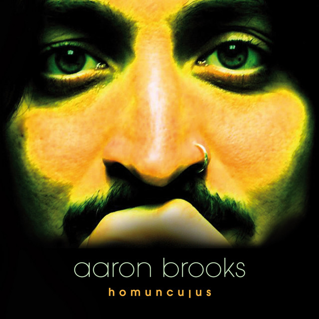 Homunculus album cover
