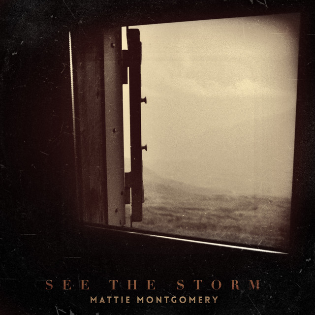 See the Storm album cover