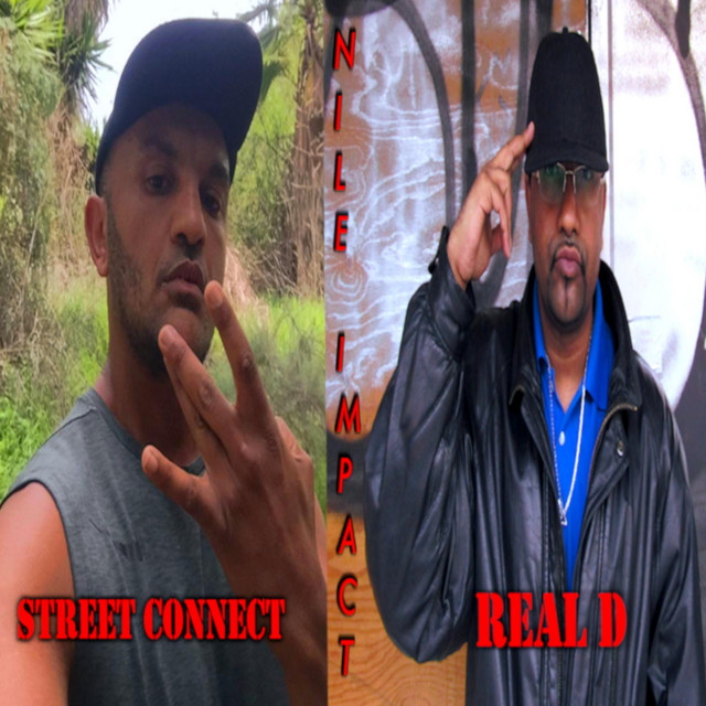 Nile Impact album cover
