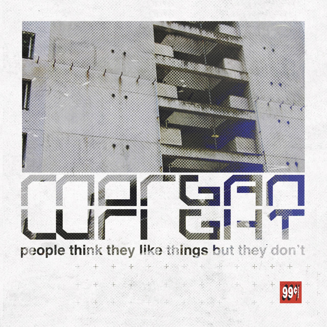 People Think They Like Things but They Don't album cover