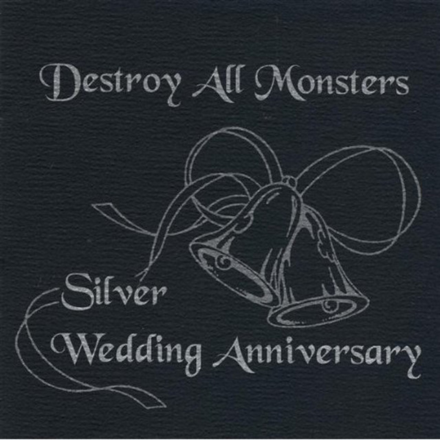 Silver Wedding Anniversary Live - Reunion Tour 1995 album cover