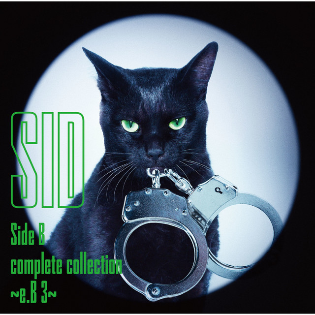 Side B complete collection 〜e.B 3〜 album cover