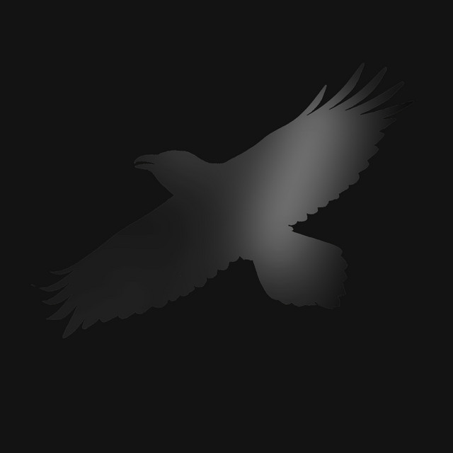 Odin's Raven Magic (with Steindór Andersen, Hilmar Örn Hilmarsson and María Huld Markan Sigfúsdóttir) album cover