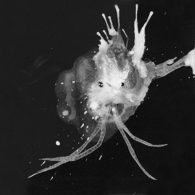 Route One album cover