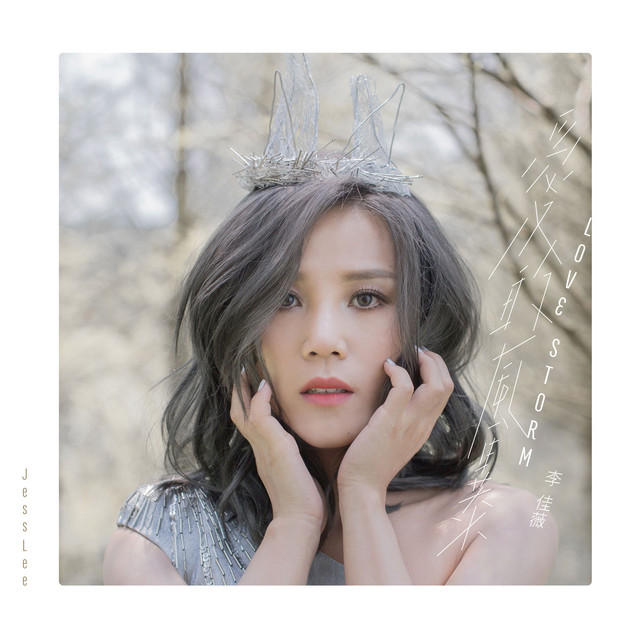 愛的風暴 album cover
