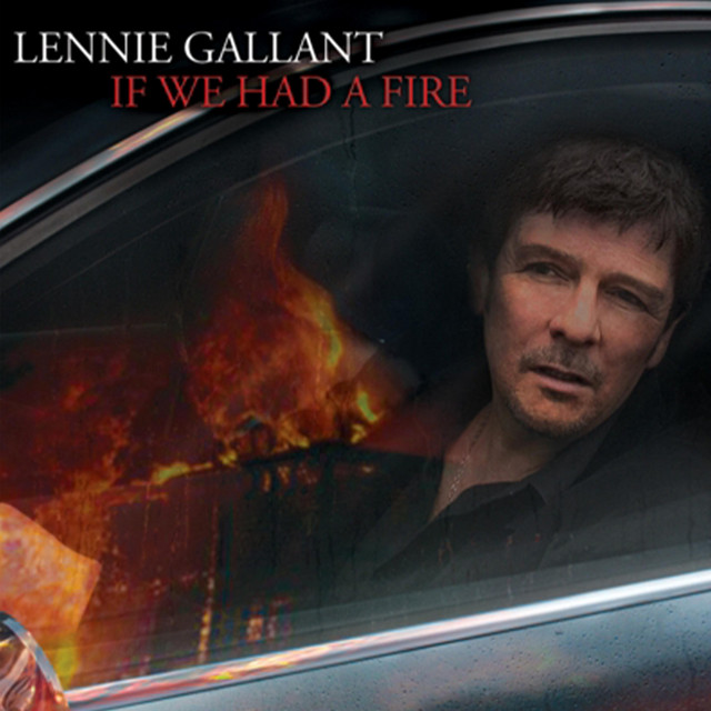 If We Had A Fire album cover