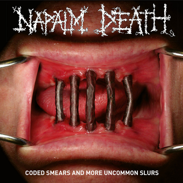 Coded Smears And More Uncommon Slurs album cover