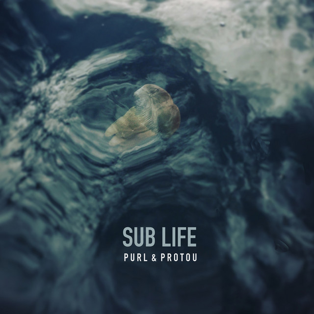 Sub Life album cover