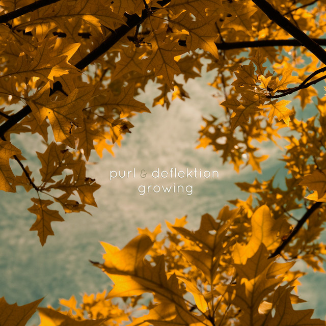 Growing album cover