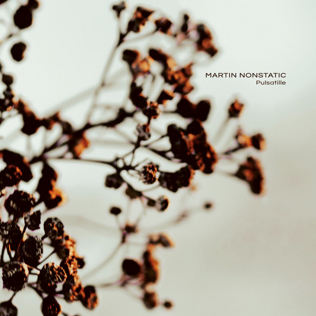Pulsatille album cover