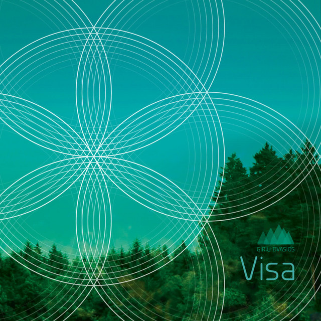 Visa album cover