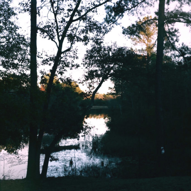 Rurals album cover