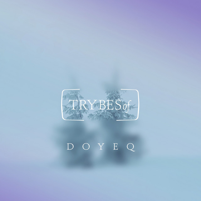 Particles of Night Light album cover