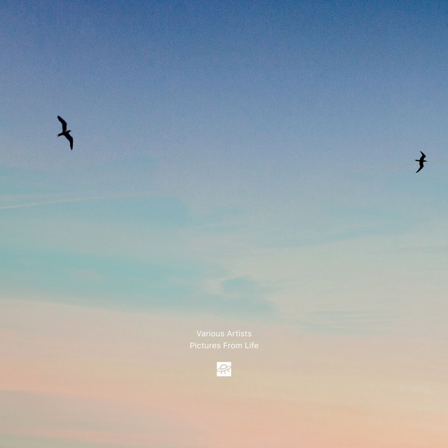 Pictures From Life album cover