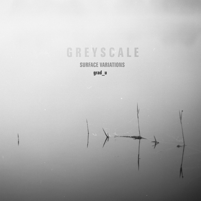 Surface Variations album cover