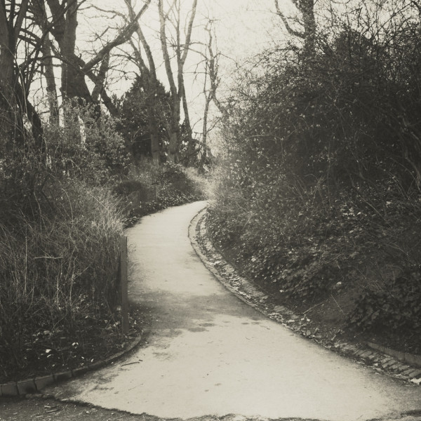 Inside The Soundscape album cover