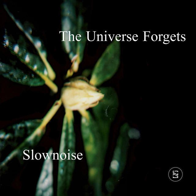 The Universe Forgets album cover