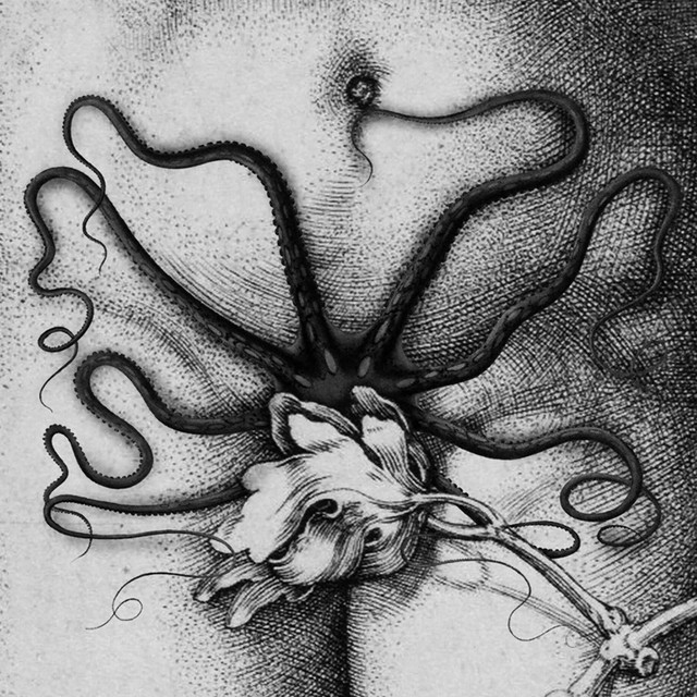 Organon / Biche - Split album cover
