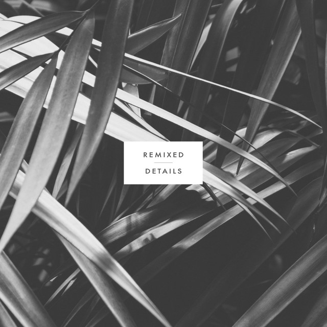 Remixed Details album cover