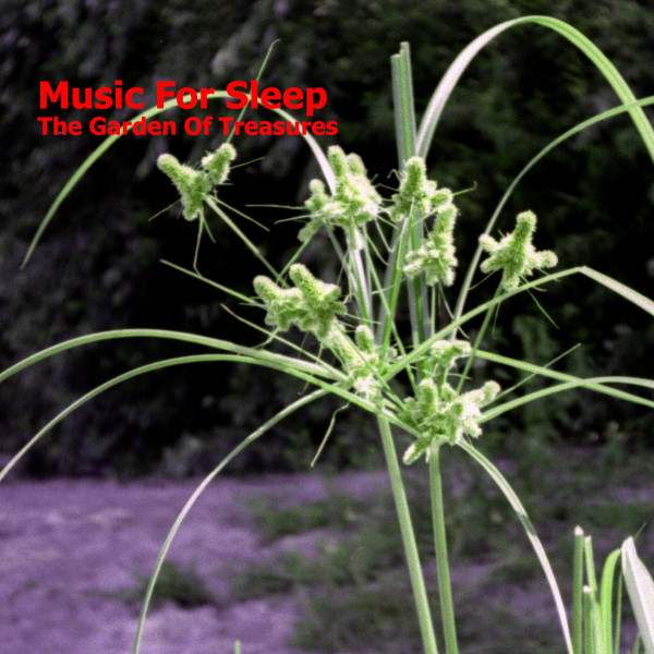 The Garden Of Treasures album cover