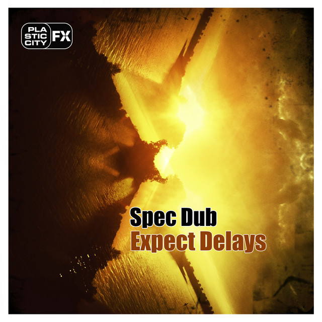Expect Delays album cover