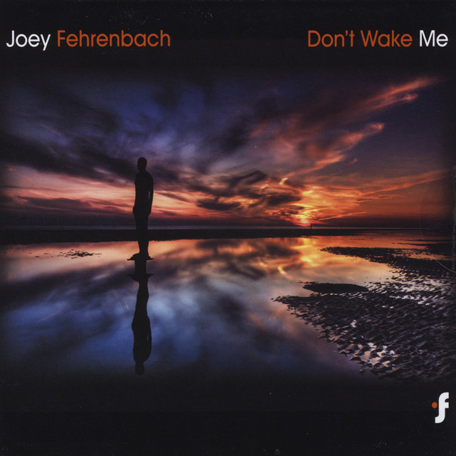 Don't Wake Me album cover