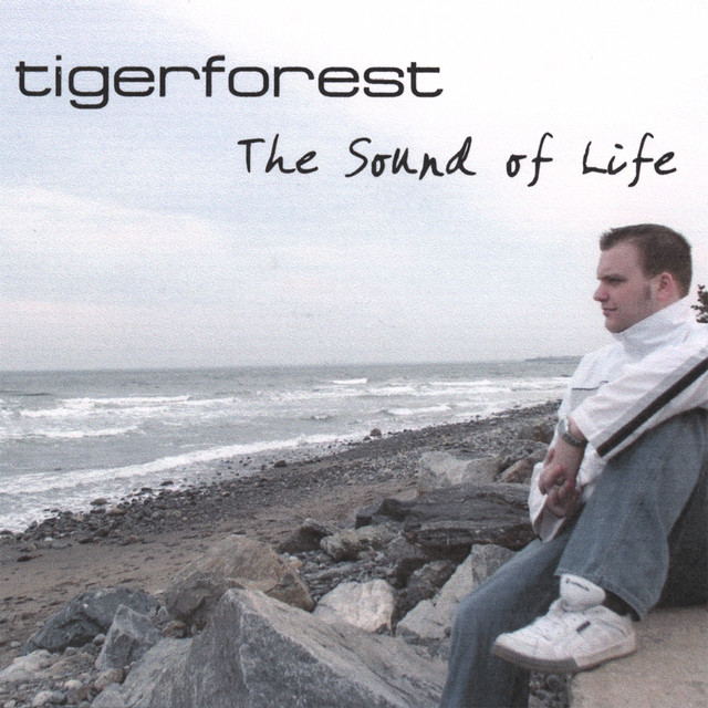 The Sound Of Life album cover