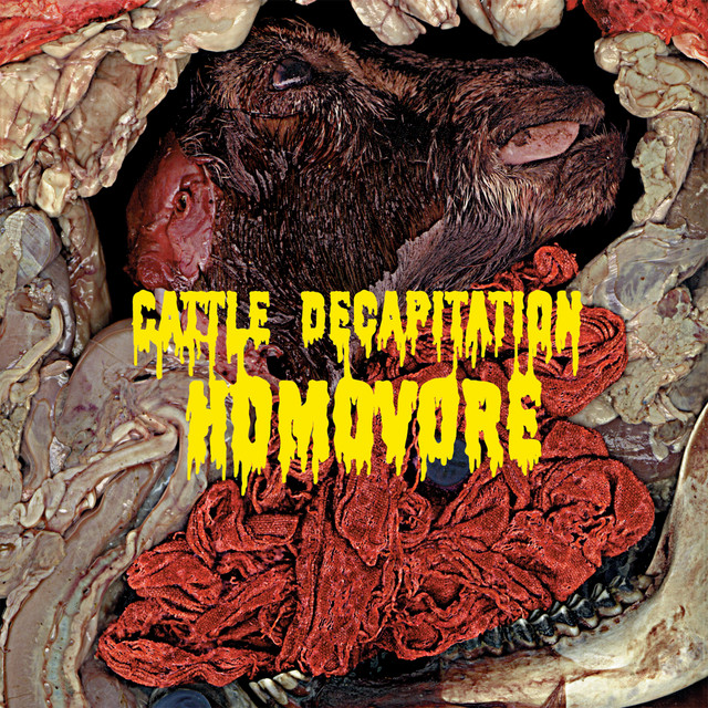 Dava Grip Tip Delrin as heard on Homovore by Cattle Decapitation (2000)