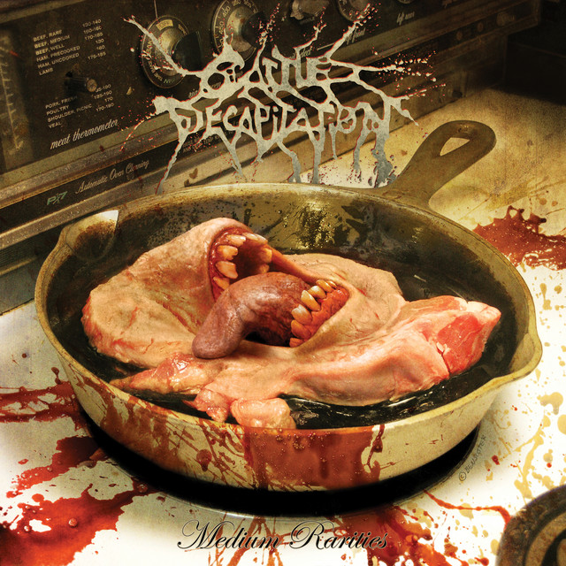 Dava Grip Tip Delrin as heard on An Exposition of Insides by Cattle Decapitation (2018)