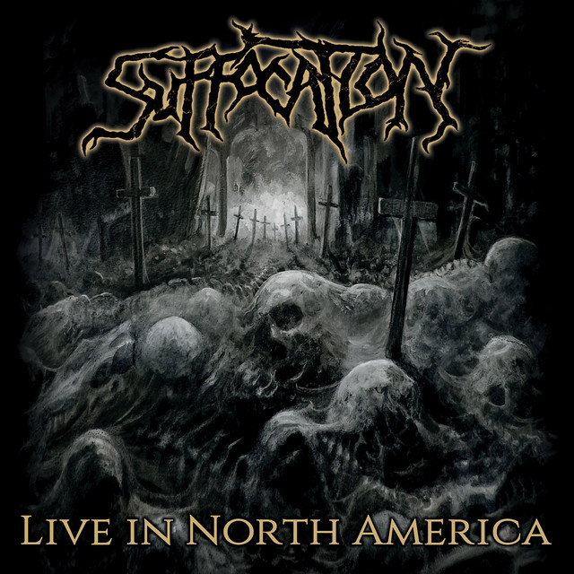 Live In North America album cover