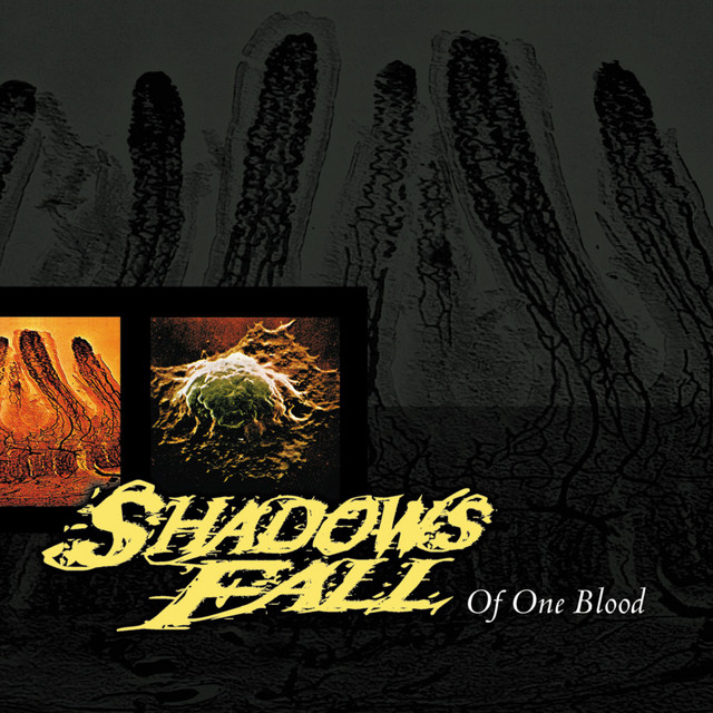 Of One Blood album cover