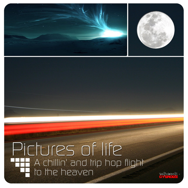 Pictures of Life a Chillin and Trip Hop Flight to the Heaven album cover