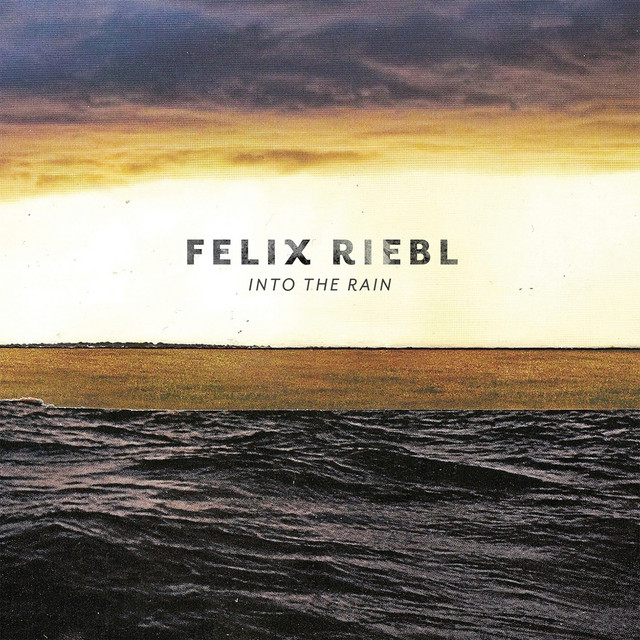 Into the Rain album cover