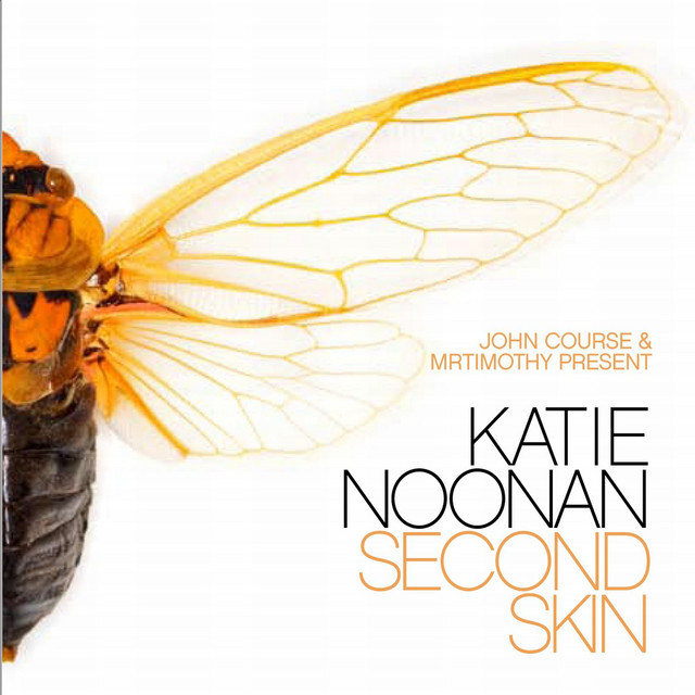 John Course & MrTimothy Present Second Skin, The Katie Noonan Remix Album album cover