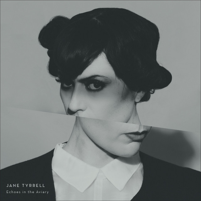 Echoes in the Aviary album cover