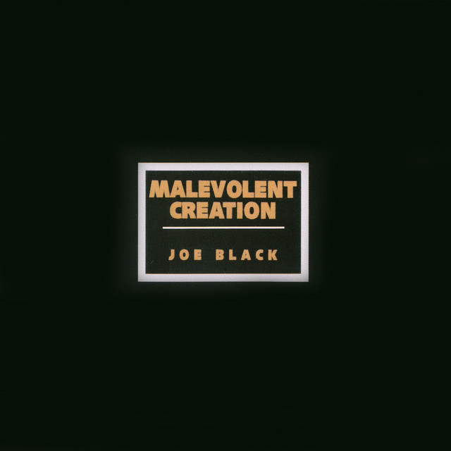 Joe Black album cover