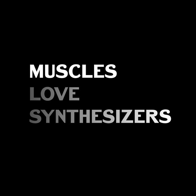 Love Synthesizers album cover