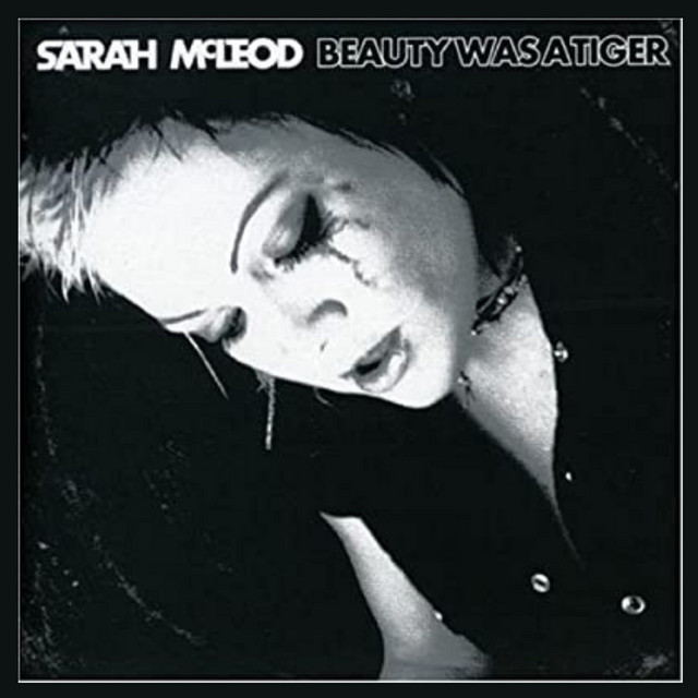 Beauty Was A Tiger album cover