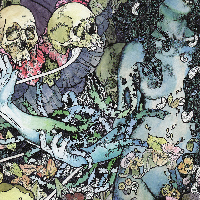 Phantom Limb album cover