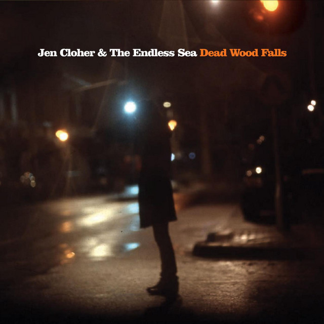Dead Wood Falls album cover