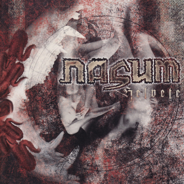 Schecter Avenger 7 as heard on Helvete by Nasum (2003)
