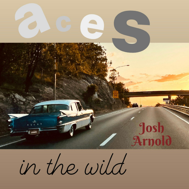 Aces in the Wild album cover