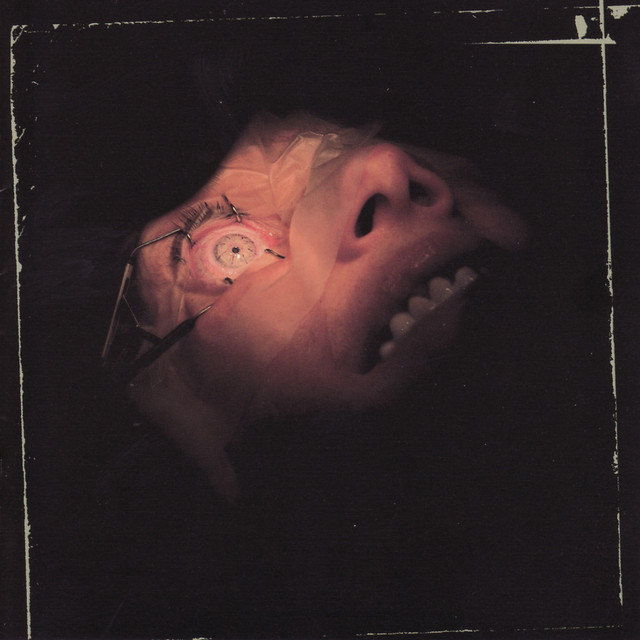 Anatomy Is Destiny / Live In Japan album cover