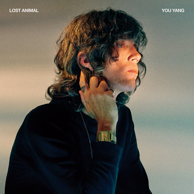 You Yang album cover