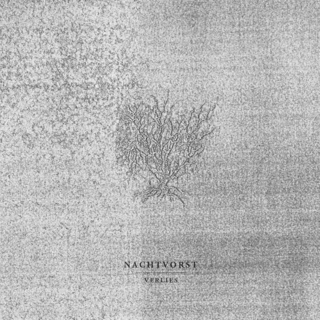 Verlies album cover
