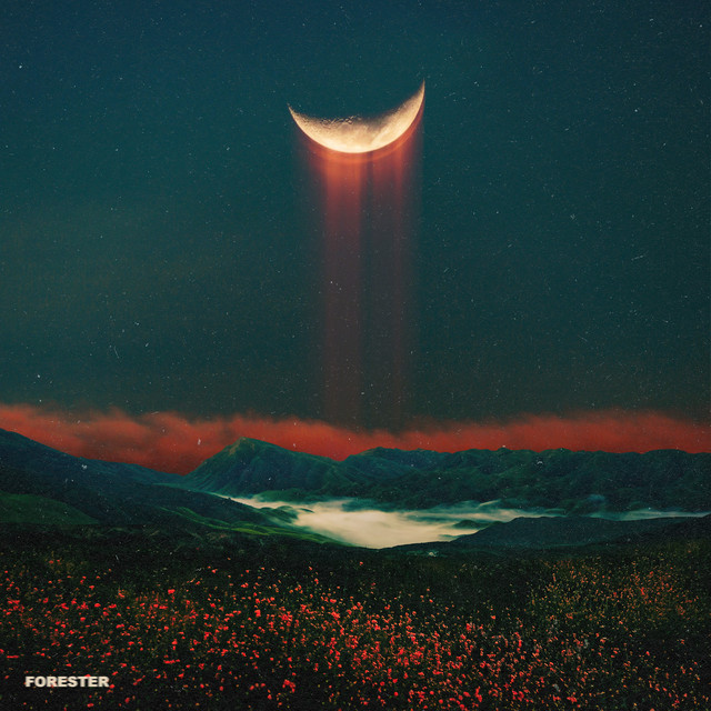 Moonlight album cover