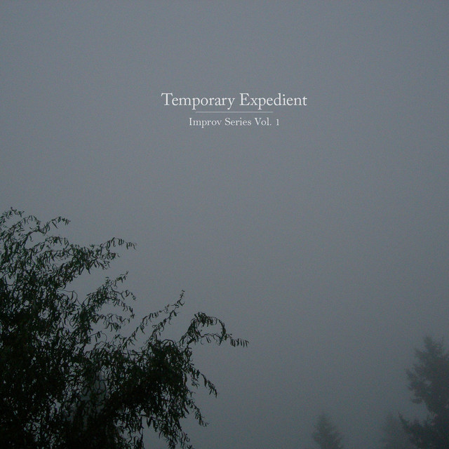 Temporary Expedient: Improv Series Vol. 1 album cover