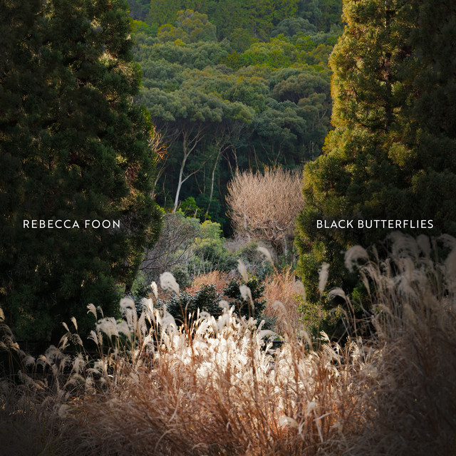 Black Butterflies album cover