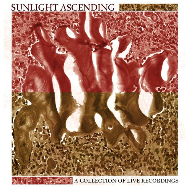 A Collection of Live Recordings album cover